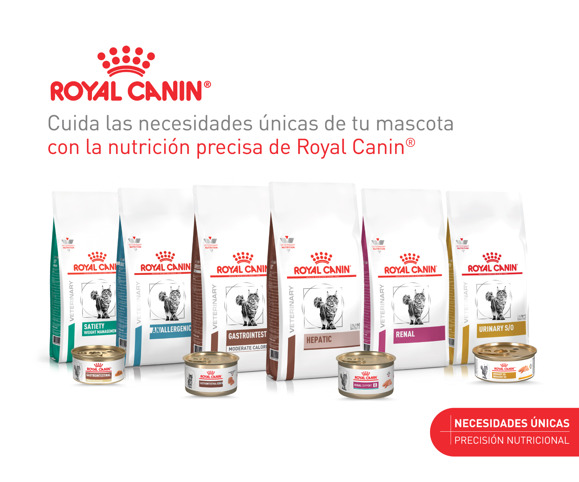 Royal Canin - Nutrición precisa para gatos
